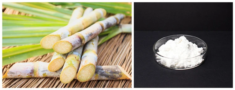 product-750-289 Policosanol Powder from Sugar Cane Wax