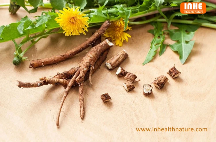 Dandelion Root