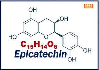 X'inhu l-Effett tal-Epicatechin Extract fuq id-Djabetiċi?
