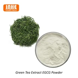 Estratt tat-te aħdar vs Estratt Matcha