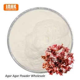 Trab tal-Agar vs Trab tal-Ġelatina: Liema Wieħed huwa Adattat għalik?
