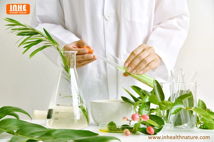 Is Sage Leaf Powder Suitable for Cosmetics Is Sage Leaf Powder Suitable for Cosmetics