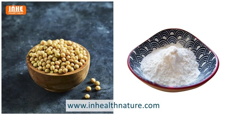Soybean and Daidzein Powder Soybean and Daidzein Powder