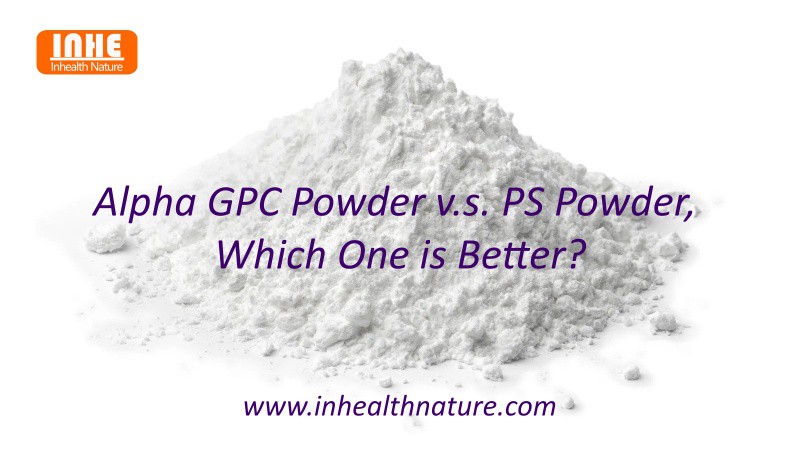Alpha GPC Powder vs PS Powder Which One is Better